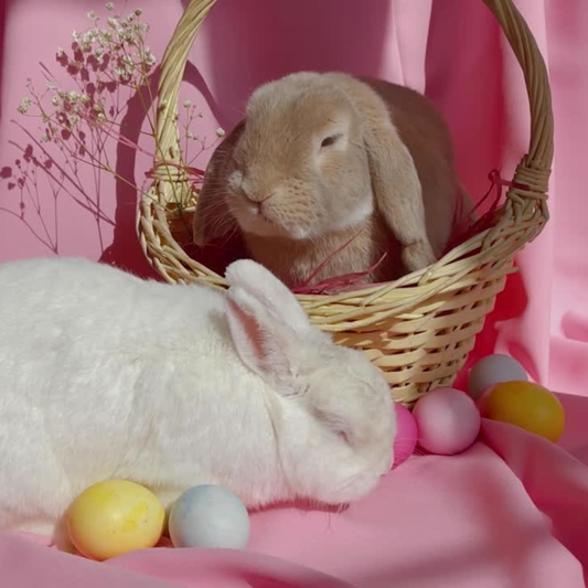 Wann ist der richtige Zeitpunkt für die Osterdekoration? Plus: Die Trends 2026